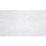 Aldo Bianco 12"x24" - Faiola Tile