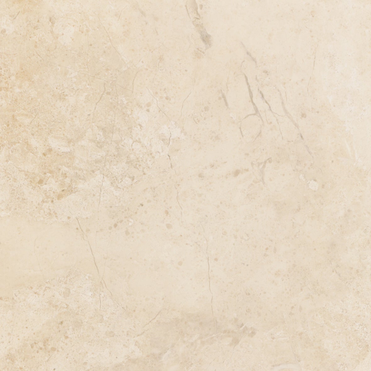 Corinto Crema 24"x24" - Faiola Tile